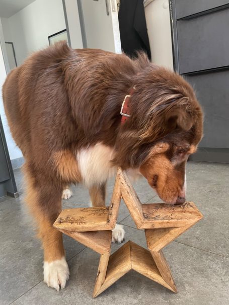 Hoffentlich bekomme ich auch was geschenkt