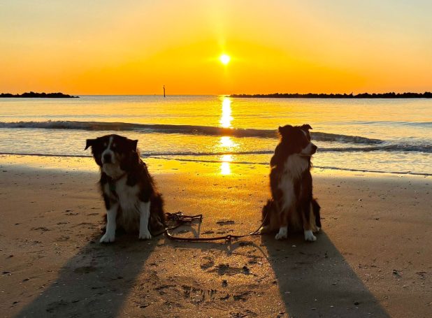 Hier geht es uns gut 